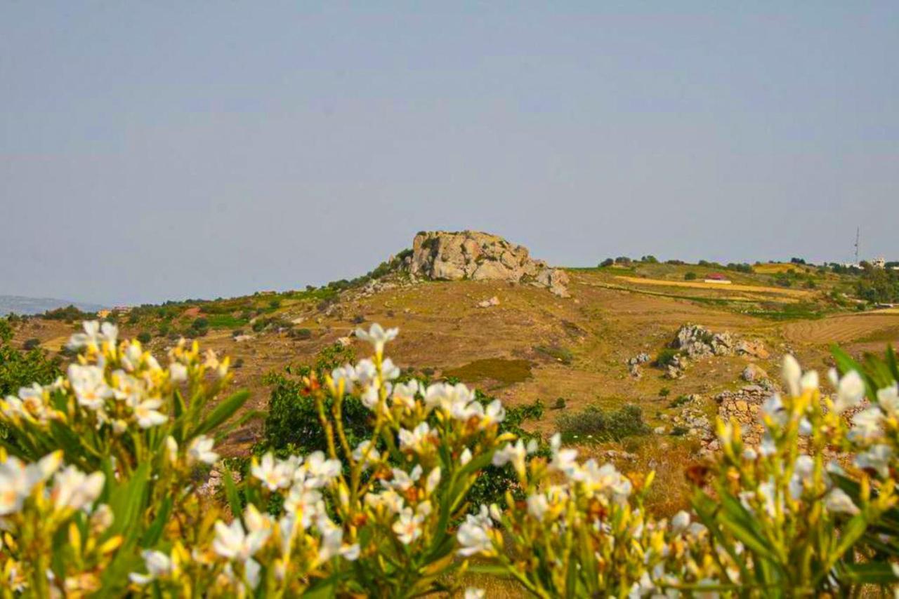 Dhrousha Villa Styliani מראה חיצוני תמונה